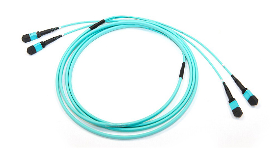 MPO patch cord